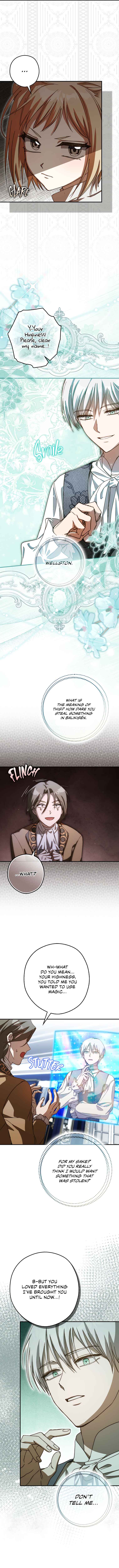 Cinderella's Pocket-Sized Protector Chapter 16 - Page 13