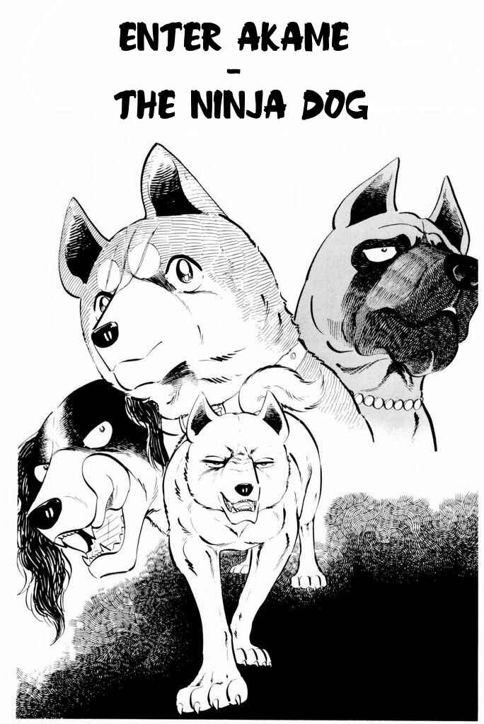 Silver Fang – The Shooting Star Gin – Chapter 19 - Page 1