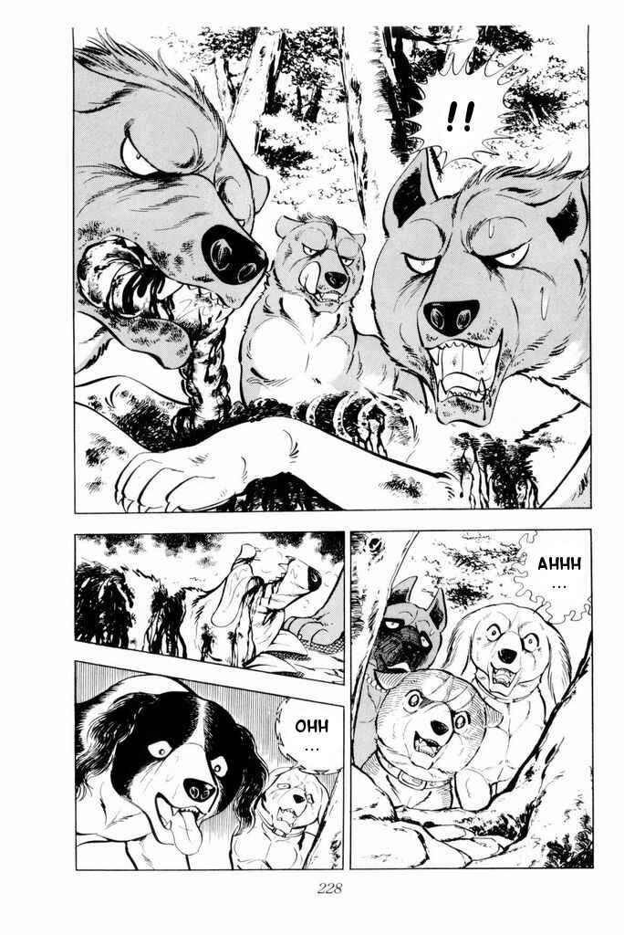 Silver Fang – The Shooting Star Gin – Chapter 19 - Page 7