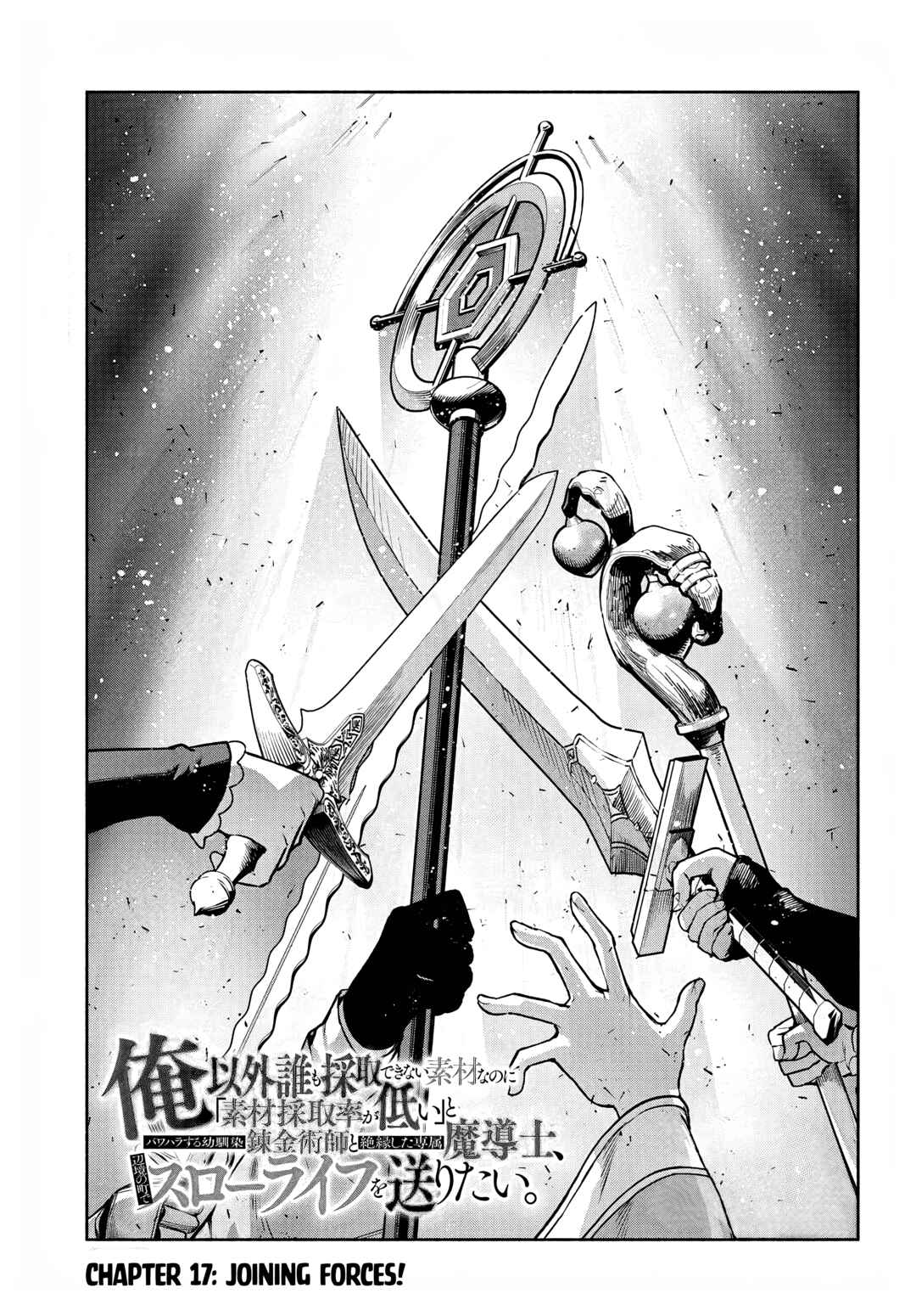 Ore Igai Dare mo Saishu Dekinai Sozai na no ni "Sozai Saishuritsu ga Hikui" to Pawahara suru Osananajimi Renkinjutsushi to Zetsuen shita Senzoku Madoushi, Henkyou no Machi de Slow Life wo Okuritai. Chapter 17 - Page 3