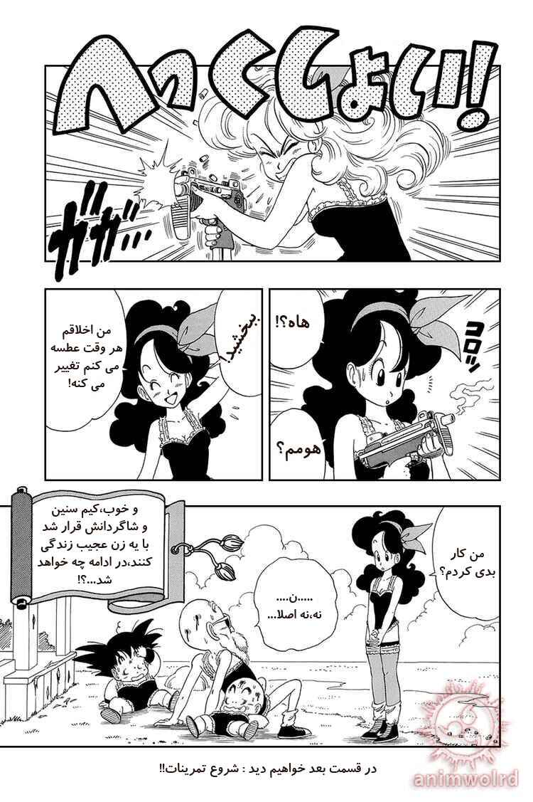Dragon Ball Chapter 27 - Page 15