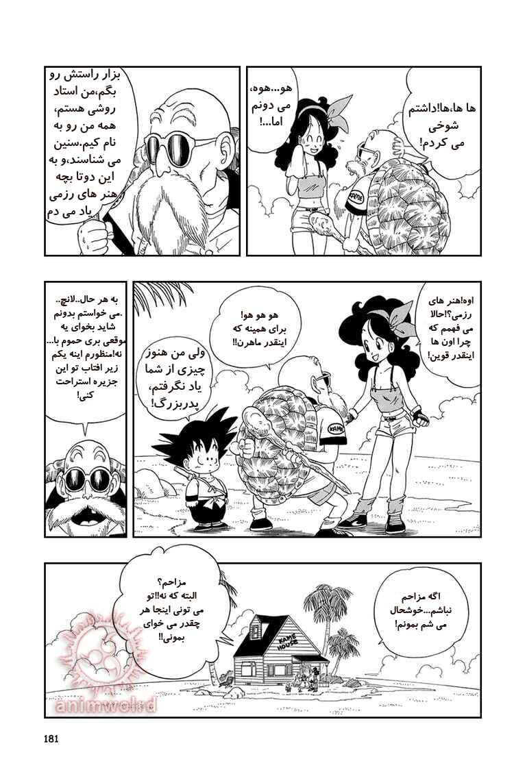 Dragon Ball Chapter 27 - Page 9