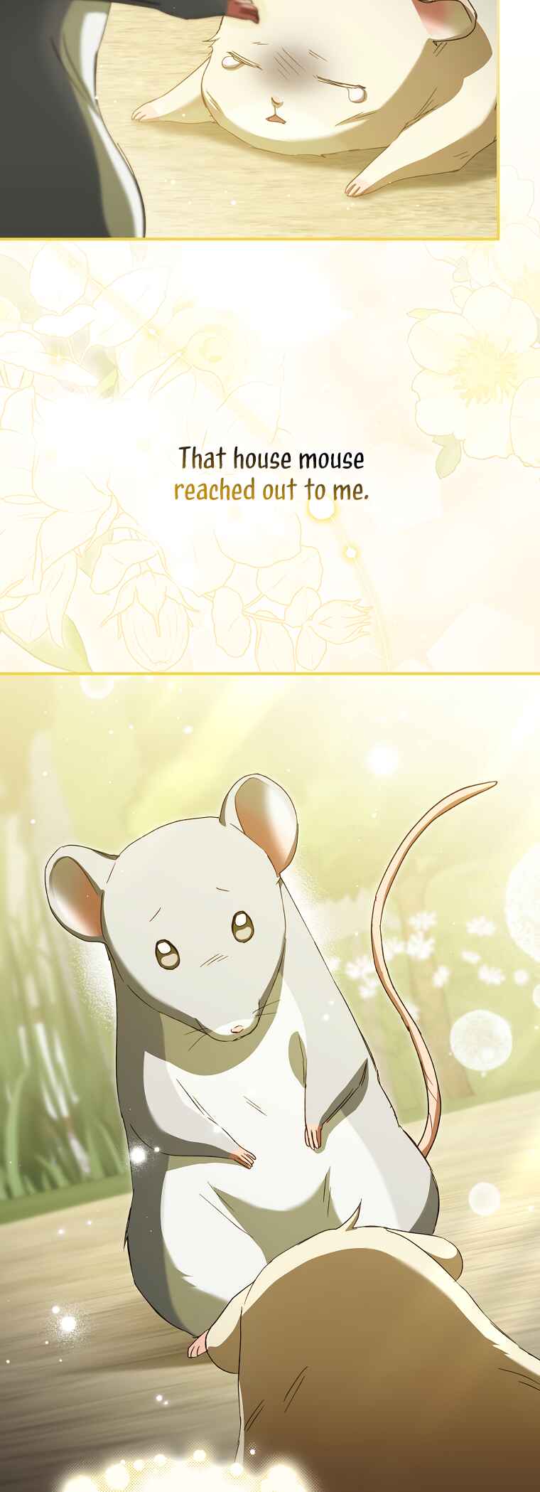 Cinderella's Pocket-Sized Protector Chapter 11 - Page 18
