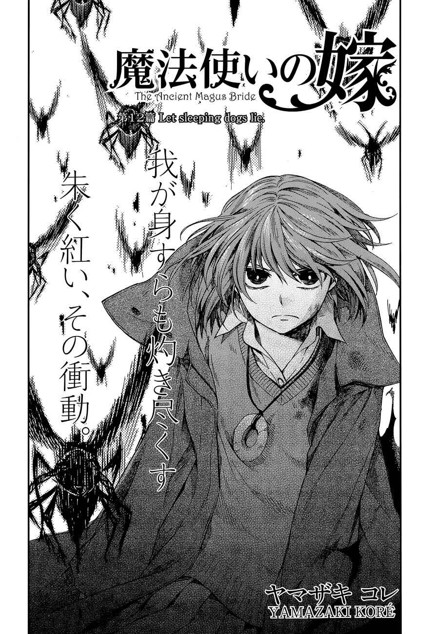 The Ancient Magus' Bride Chapter 12 - Page 2