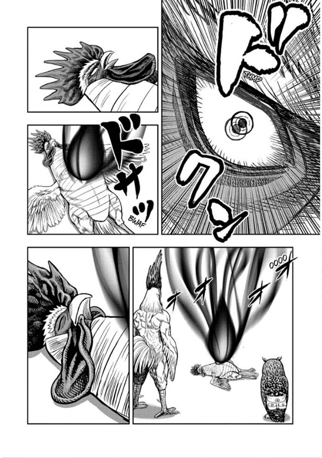 Niwatori Fighter Chapter 49 - Page 13