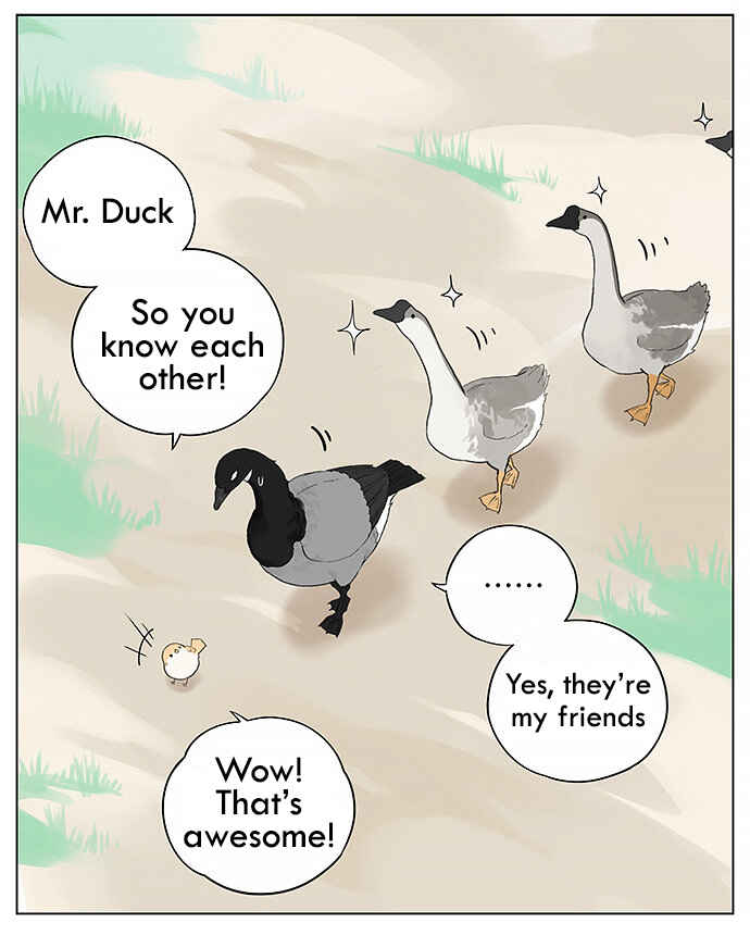 Southern Bird and Northern Bird Chapter 31 - Page 11