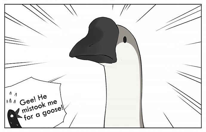 Southern Bird and Northern Bird Chapter 31 - Page 3
