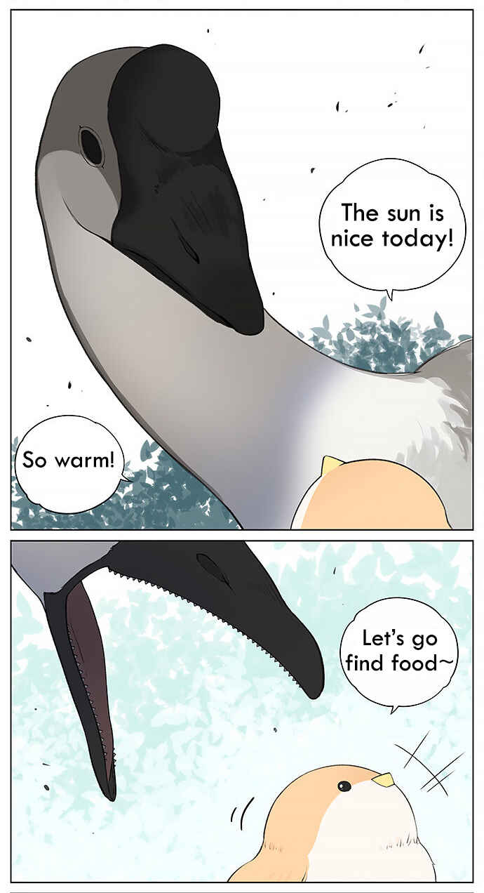 Southern Bird and Northern Bird Chapter 31 - Page 4
