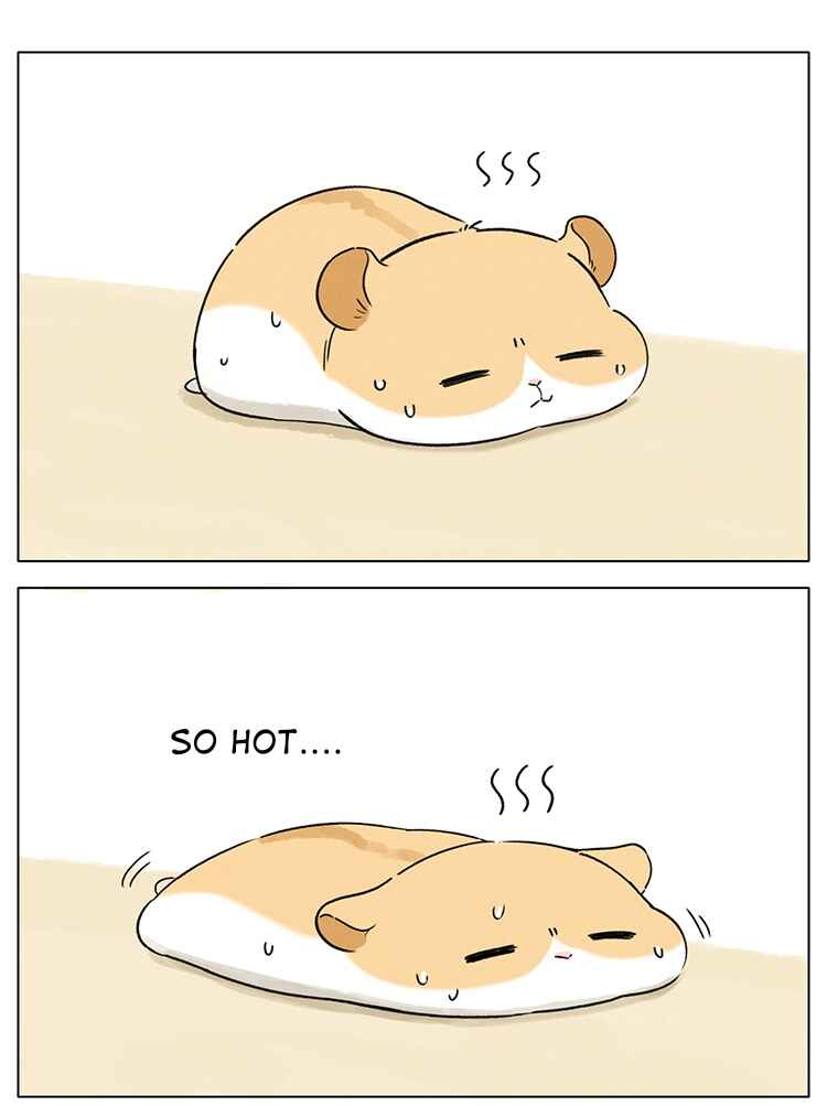 Hamster Chapter 6 - Page 1