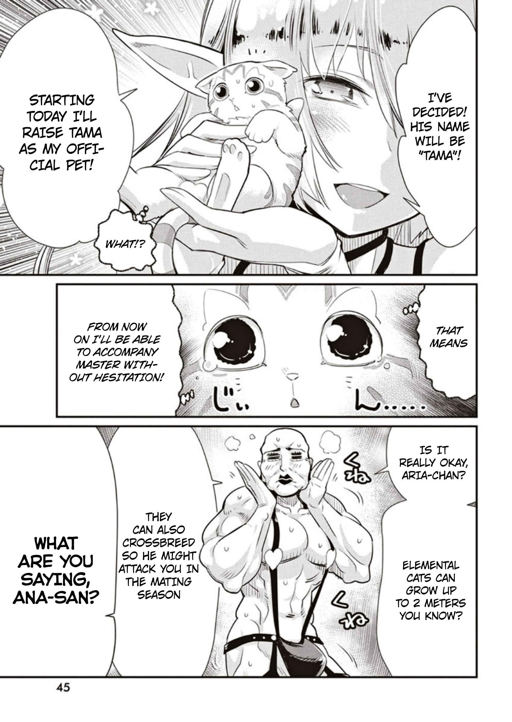 S-Rank Monster no "Behemoth" dakedo, Neko to Machigawarete Elf Musume no Pet to Shite Kurashitemasu Chapter 3 - Page 11