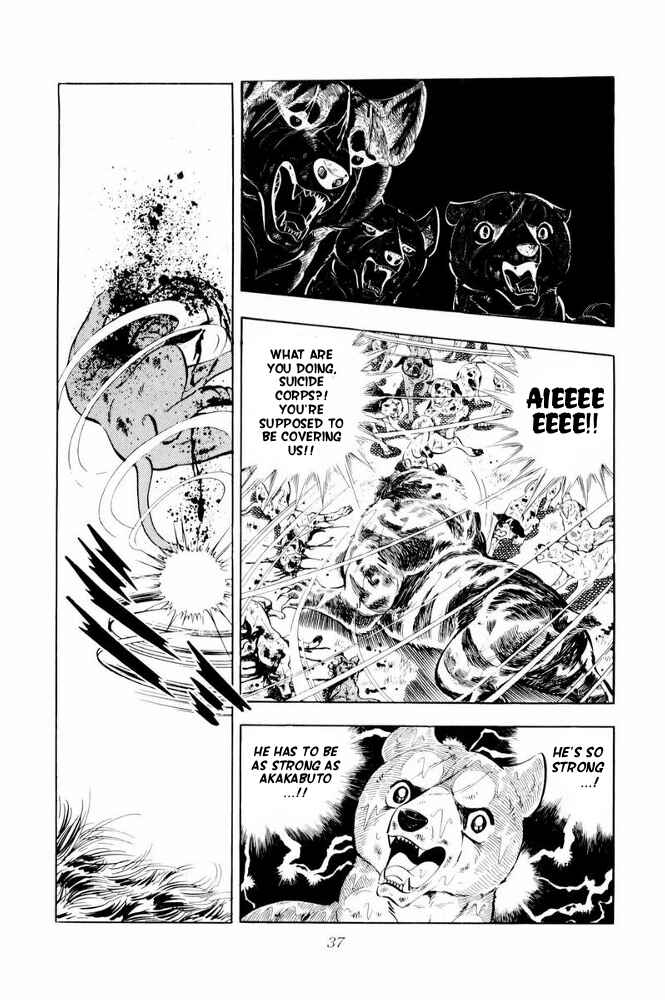 Silver Fang – The Shooting Star Gin – Chapter 37 - Page 39