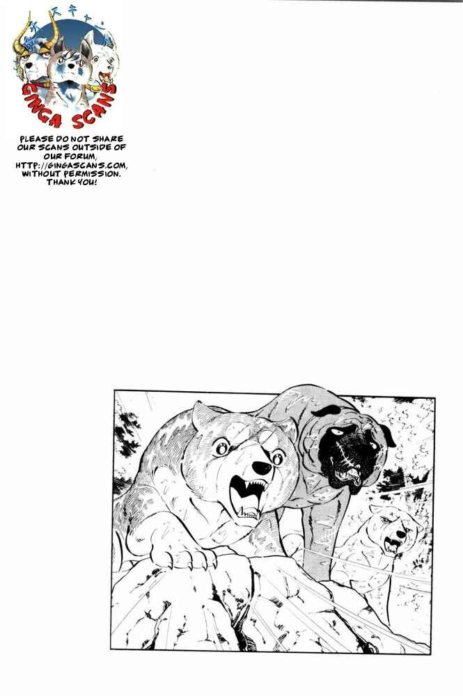 Silver Fang – The Shooting Star Gin – Chapter 37 - Page 48