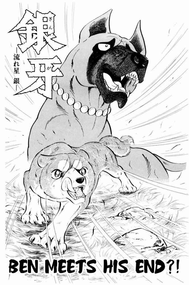 Silver Fang – The Shooting Star Gin – Chapter 37 - Page 7