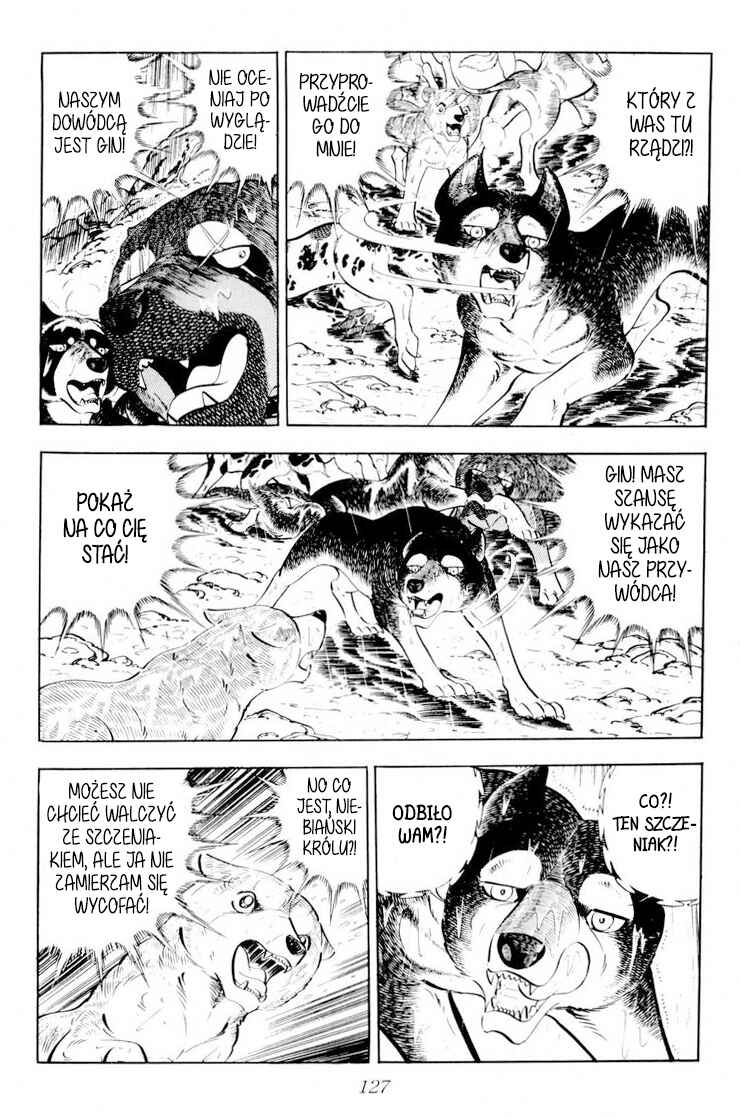 Silver Fang – The Shooting Star Gin – Chapter 33 - Page 21