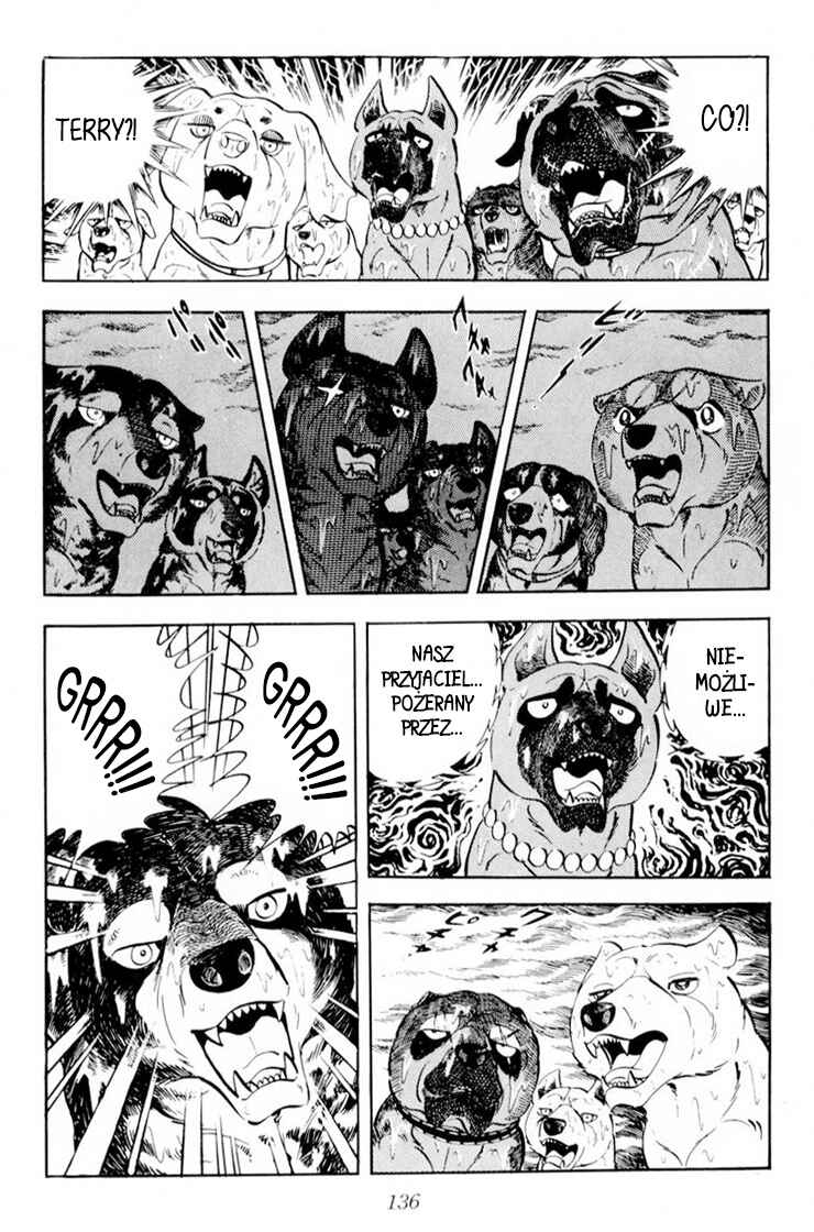 Silver Fang – The Shooting Star Gin – Chapter 33 - Page 30