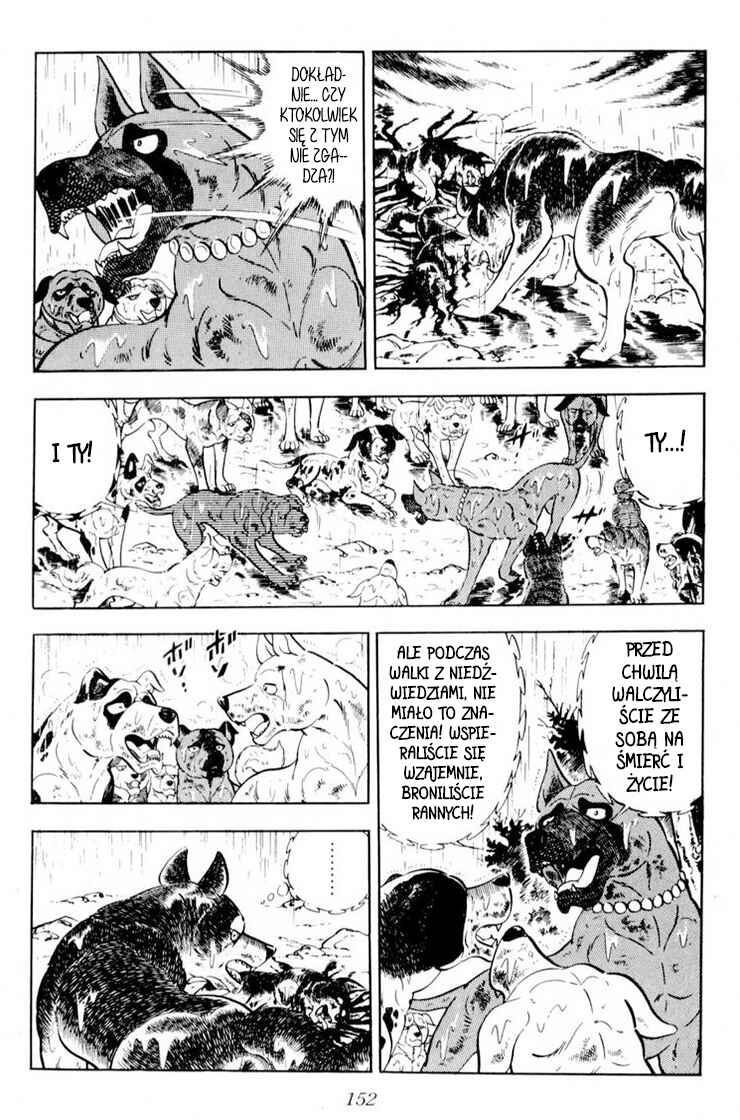 Silver Fang – The Shooting Star Gin – Chapter 33 - Page 45