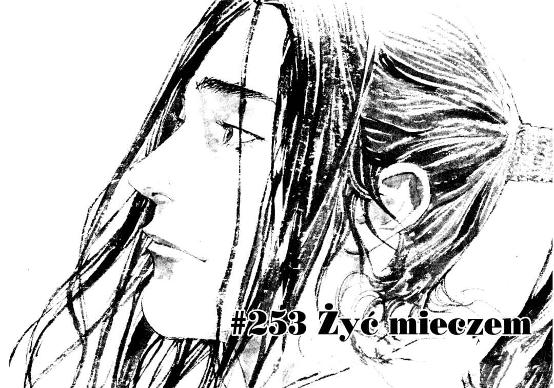 Vagabond Chapter 253 - Page 3