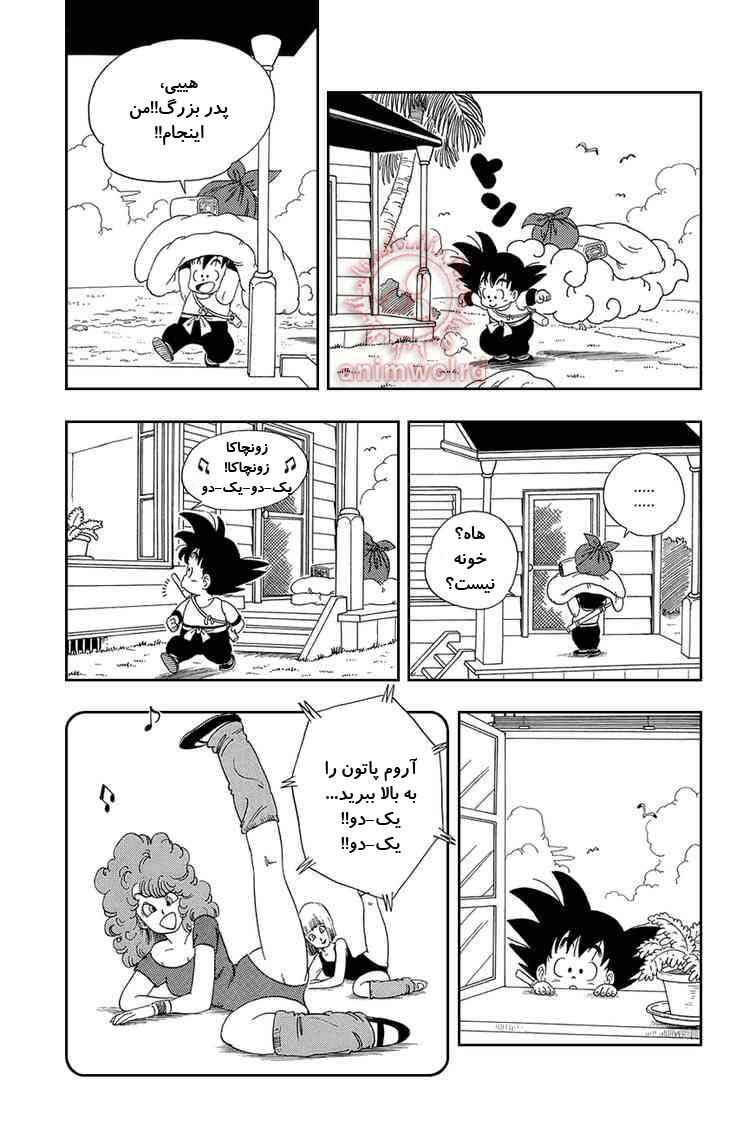 Dragon Ball Chapter 24 - Page 5
