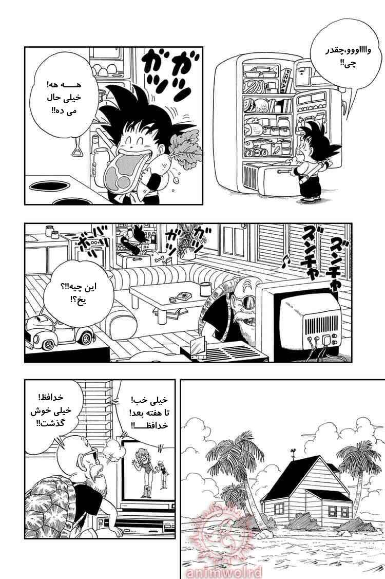 Dragon Ball Chapter 24 - Page 8