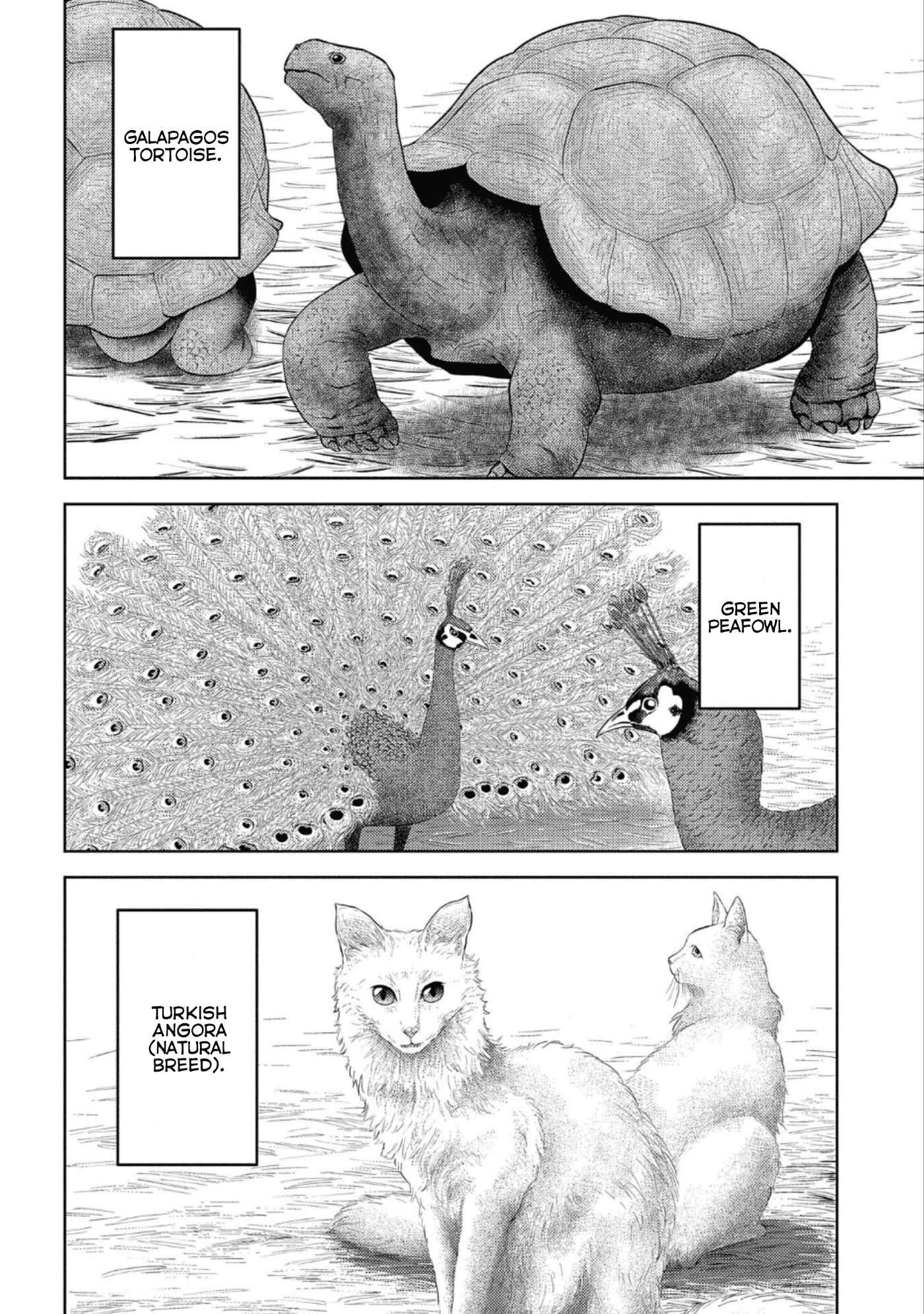 Sengoku Komachi Kuroutan Chapter 43 - Page 31