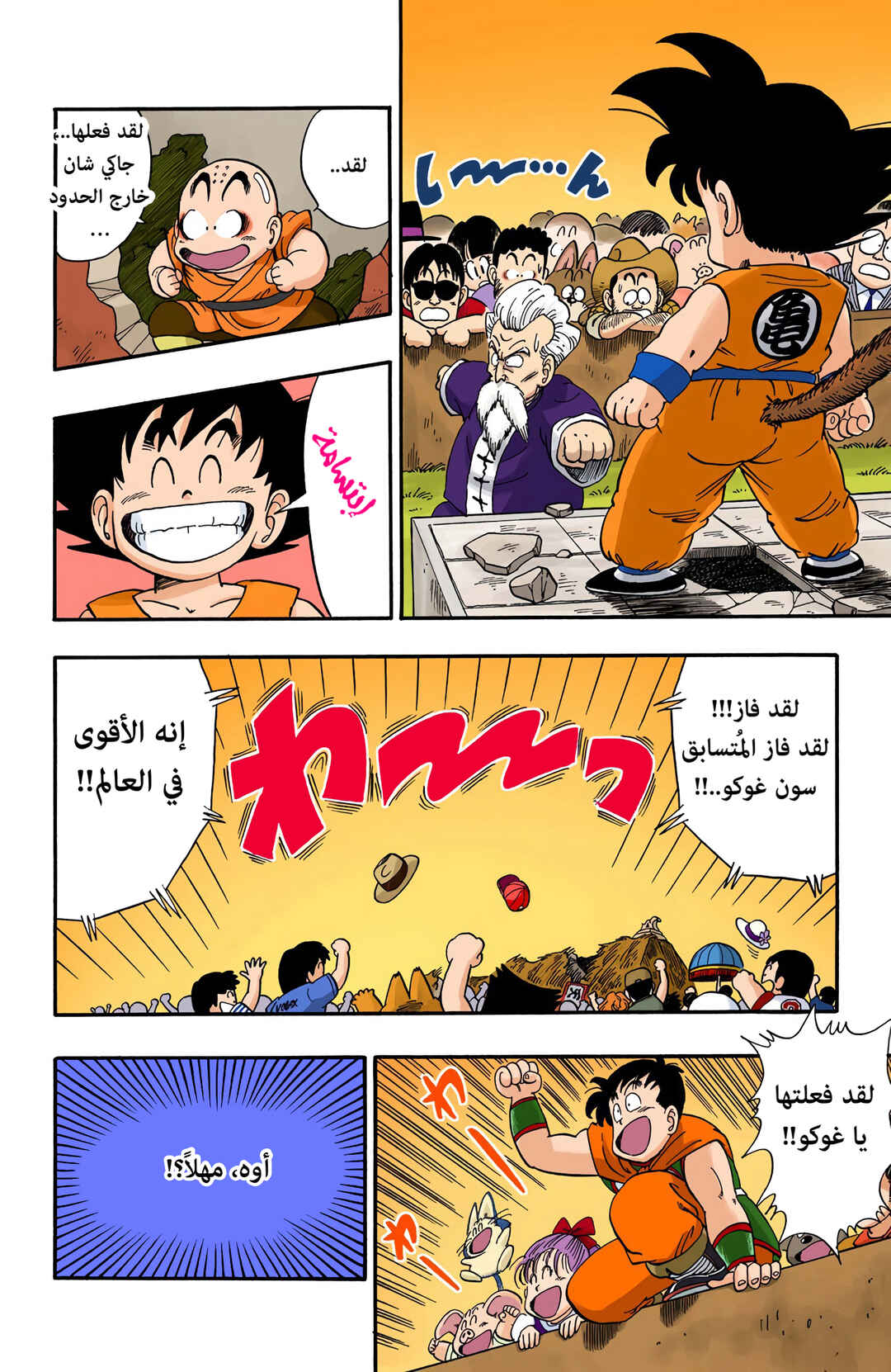 Dragon Ball (Official Colored) Chapter 52 - Page 12