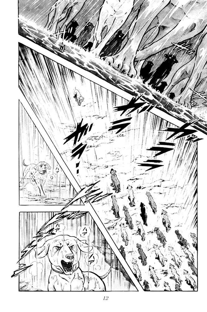 Silver Fang – The Shooting Star Gin – Chapter 14 - Page 11