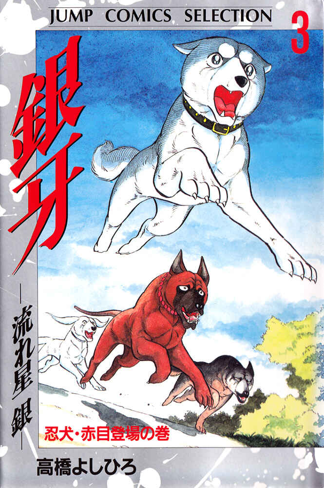 Silver Fang – The Shooting Star Gin – Chapter 14 - Page 3