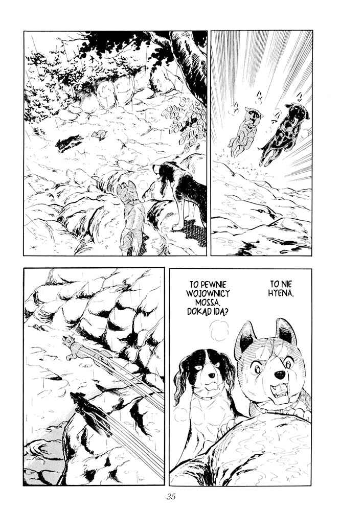 Silver Fang – The Shooting Star Gin – Chapter 14 - Page 33