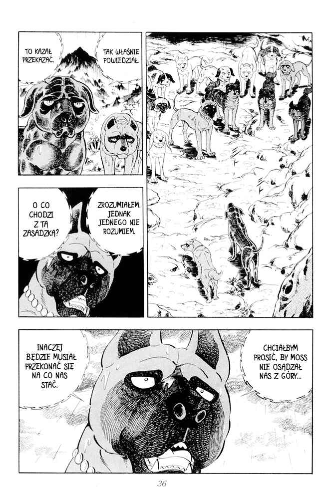 Silver Fang – The Shooting Star Gin – Chapter 14 - Page 34