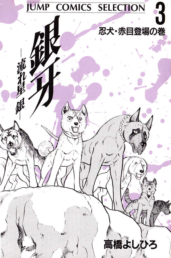 Silver Fang – The Shooting Star Gin – Chapter 14 - Page 4