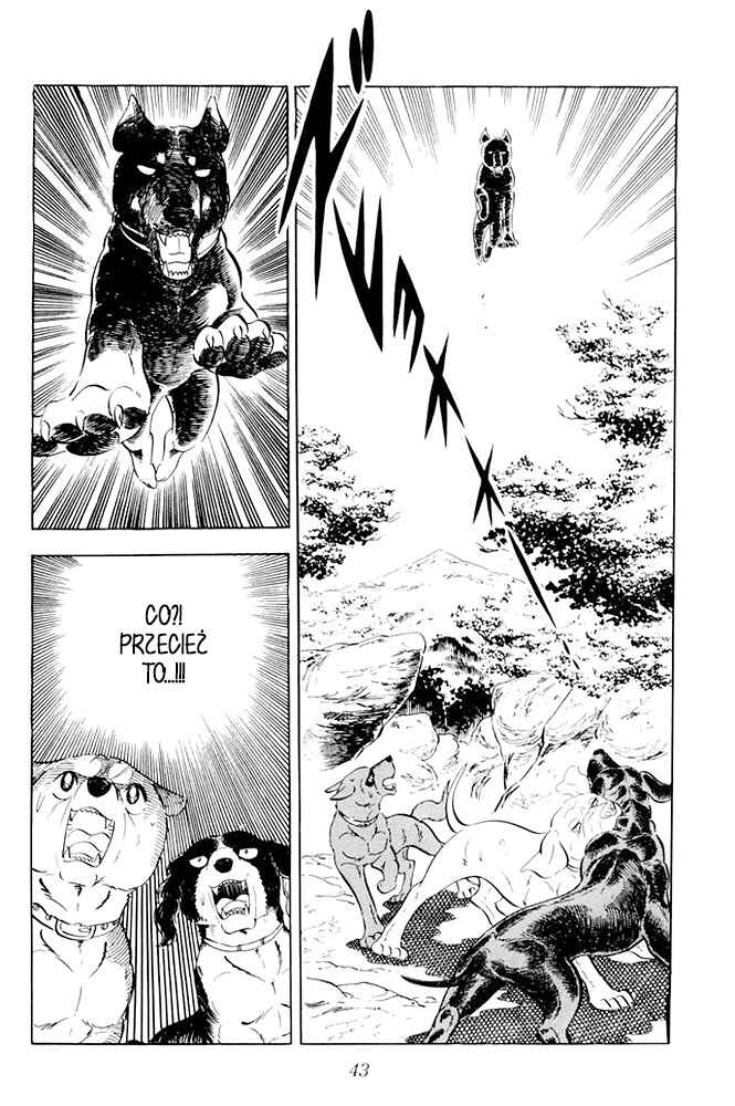 Silver Fang – The Shooting Star Gin – Chapter 14 - Page 41