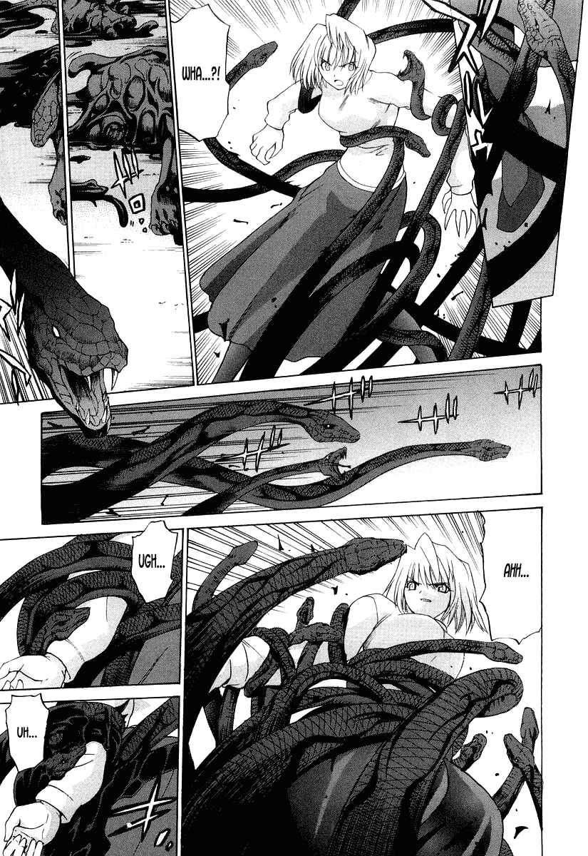 Shingetsutan: Tsukihime Chapter 11 - Page 16
