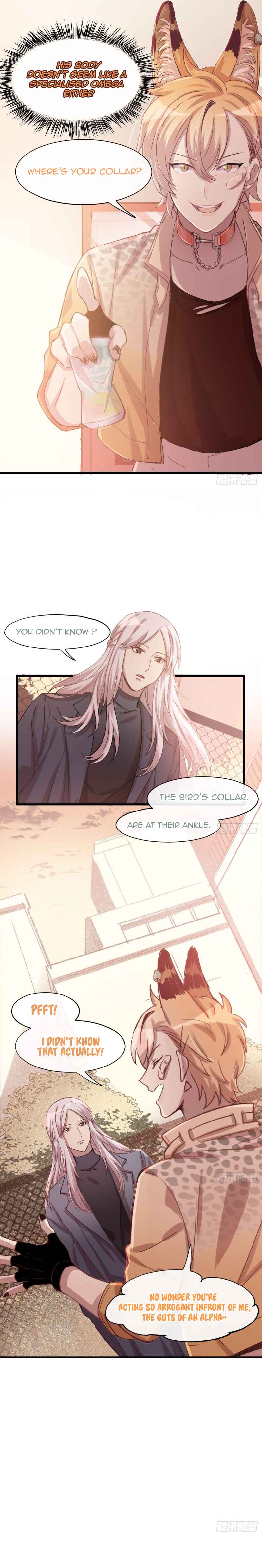 The Cat Is Nipping Catnips Chapter 2 - Page 3