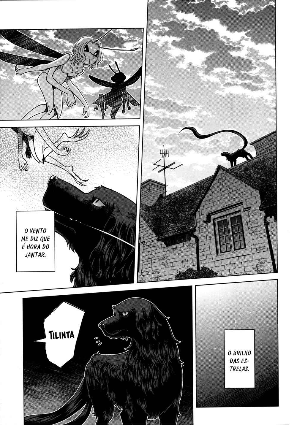The Ancient Magus' Bride Chapter 79.5 - Page 25