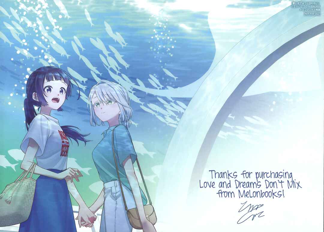 Yume to Koi de wa Tsuriawanai Chapter 8.5 - Page 27