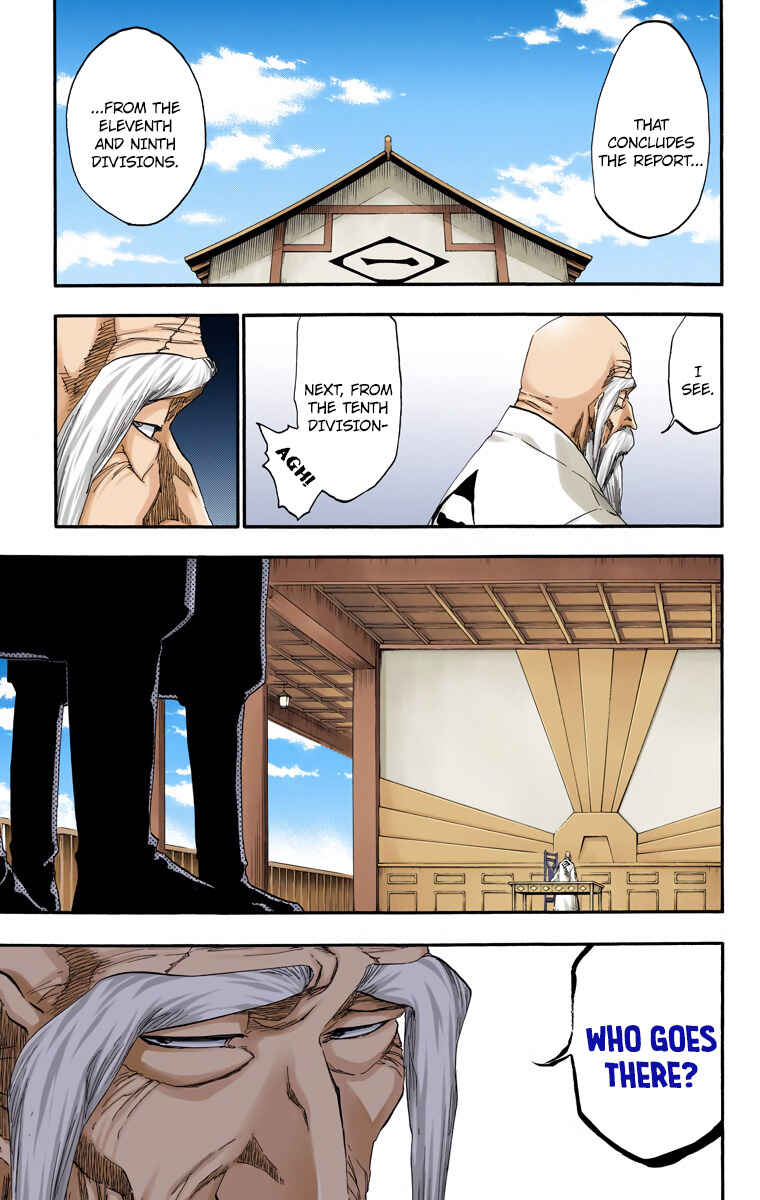 Bleach (Official Colored) Chapter 482 - Page 17