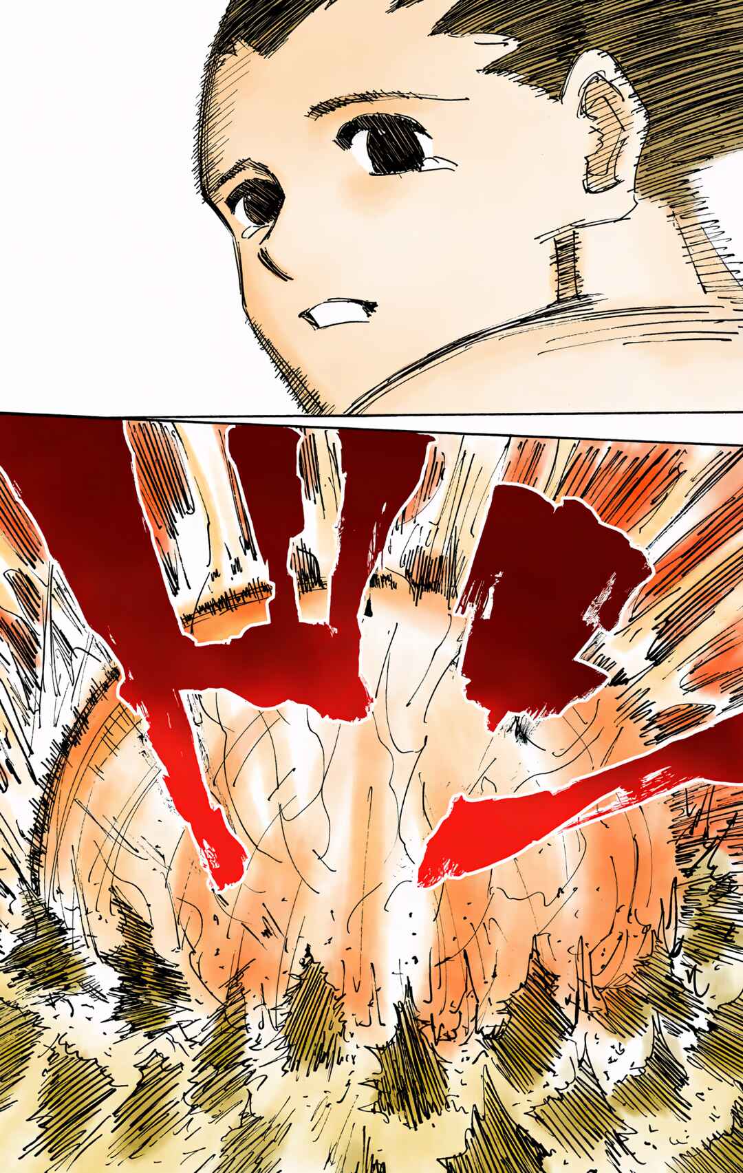 Hunter x Hunter (Official Colored) Chapter 307 - Page 17
