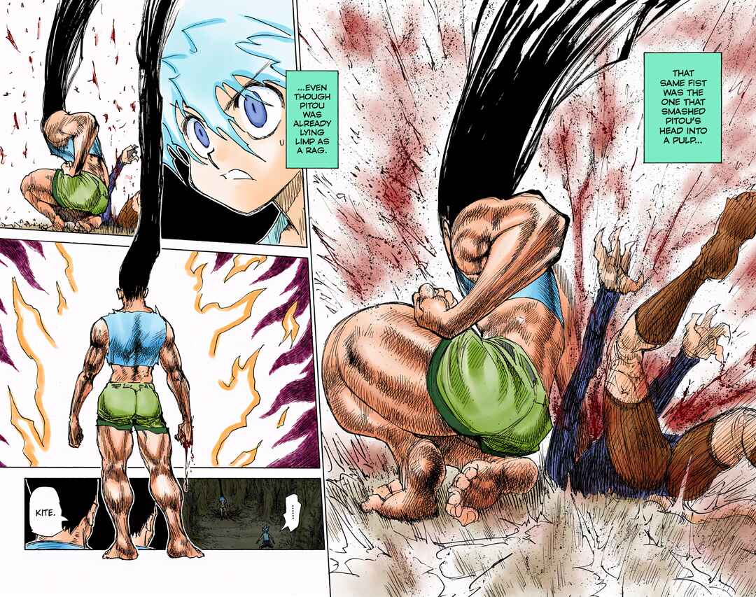 Hunter x Hunter (Official Colored) Chapter 307 - Page 3