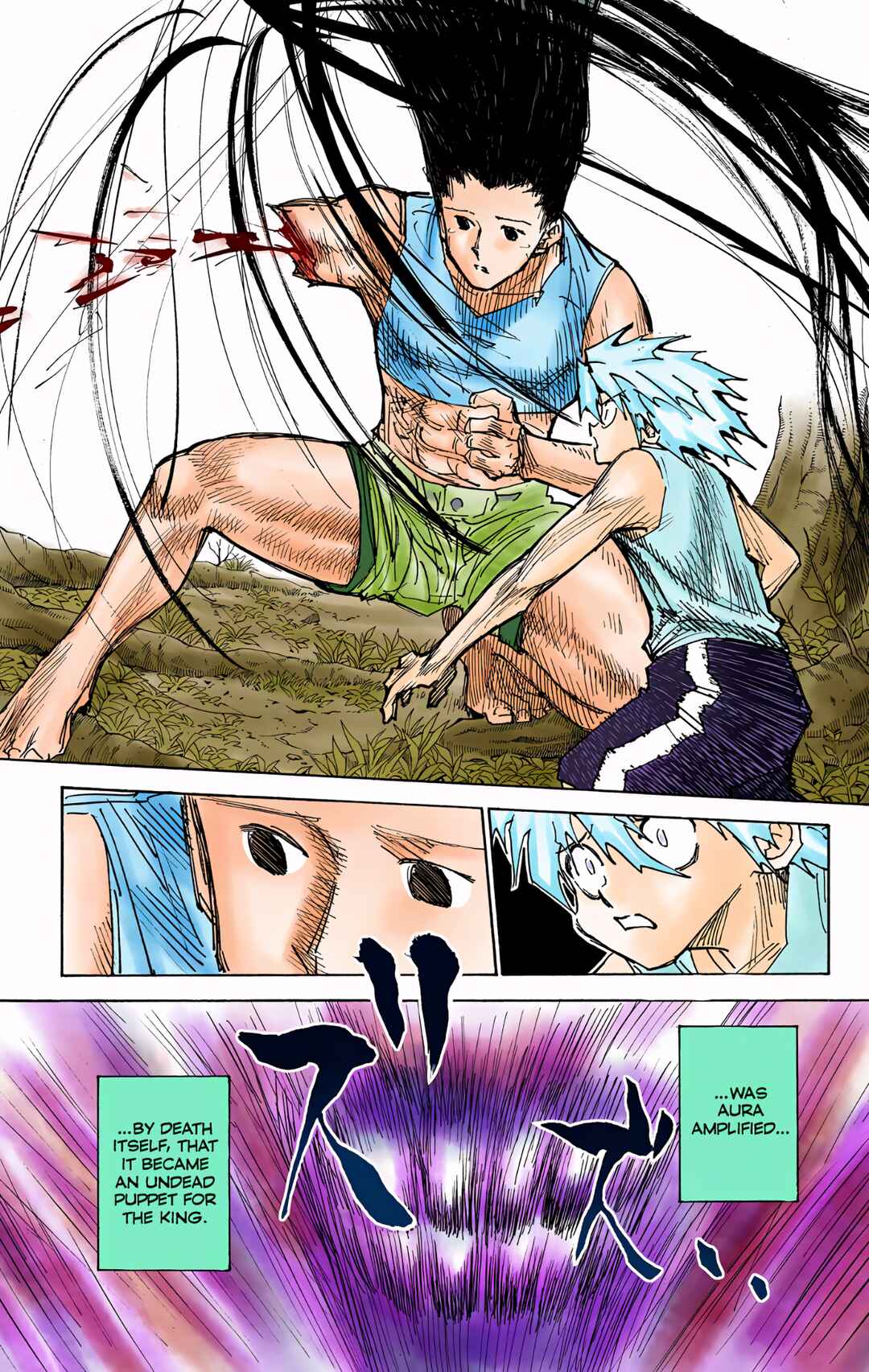 Hunter x Hunter (Official Colored) Chapter 307 - Page 9
