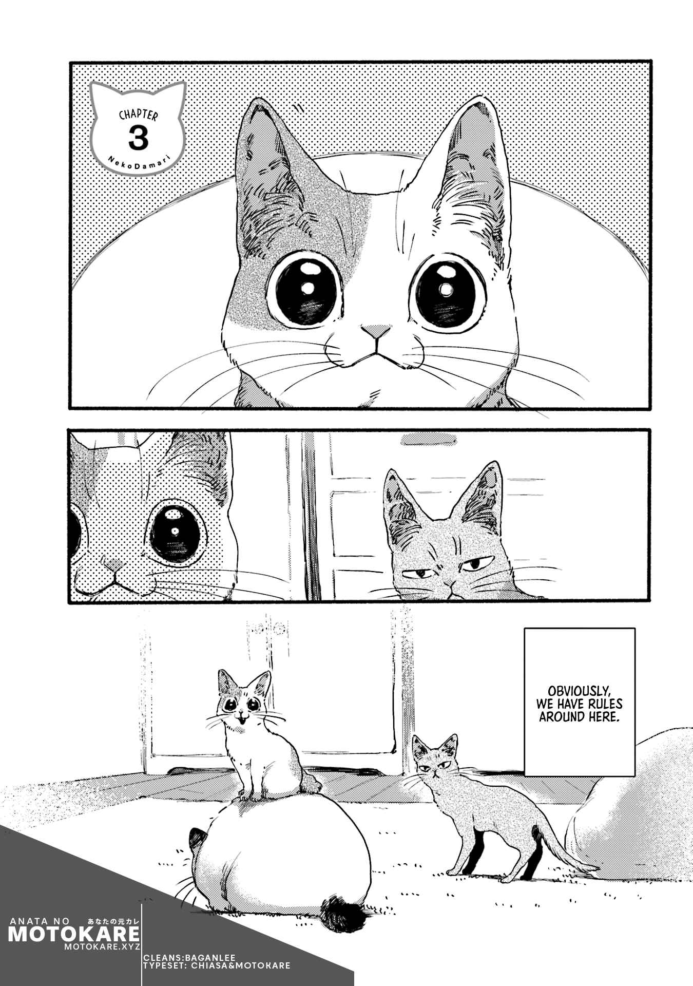 NekoDamari Chapter 3 - Page 1