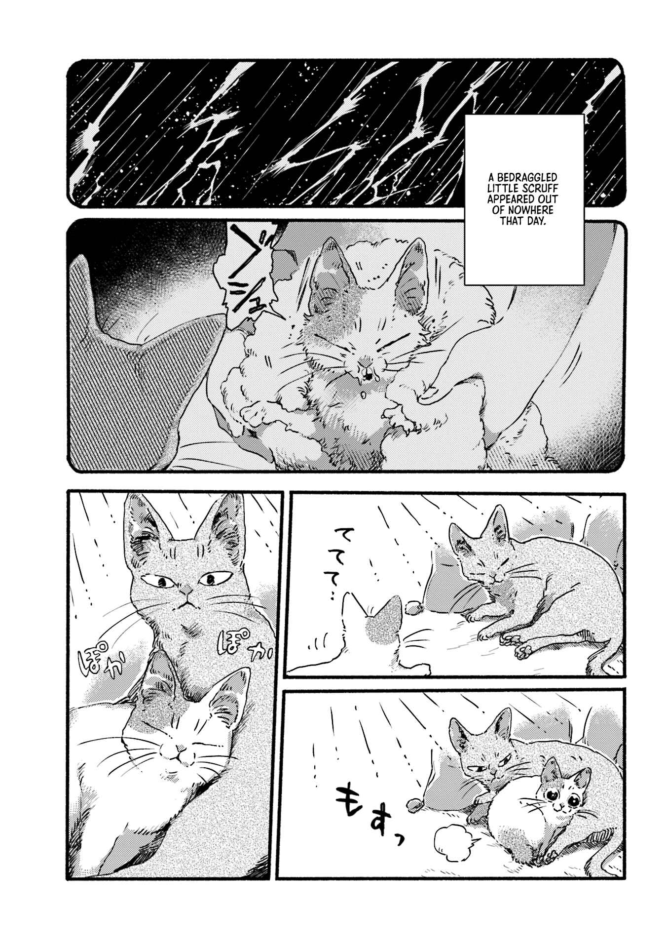 NekoDamari Chapter 3 - Page 5