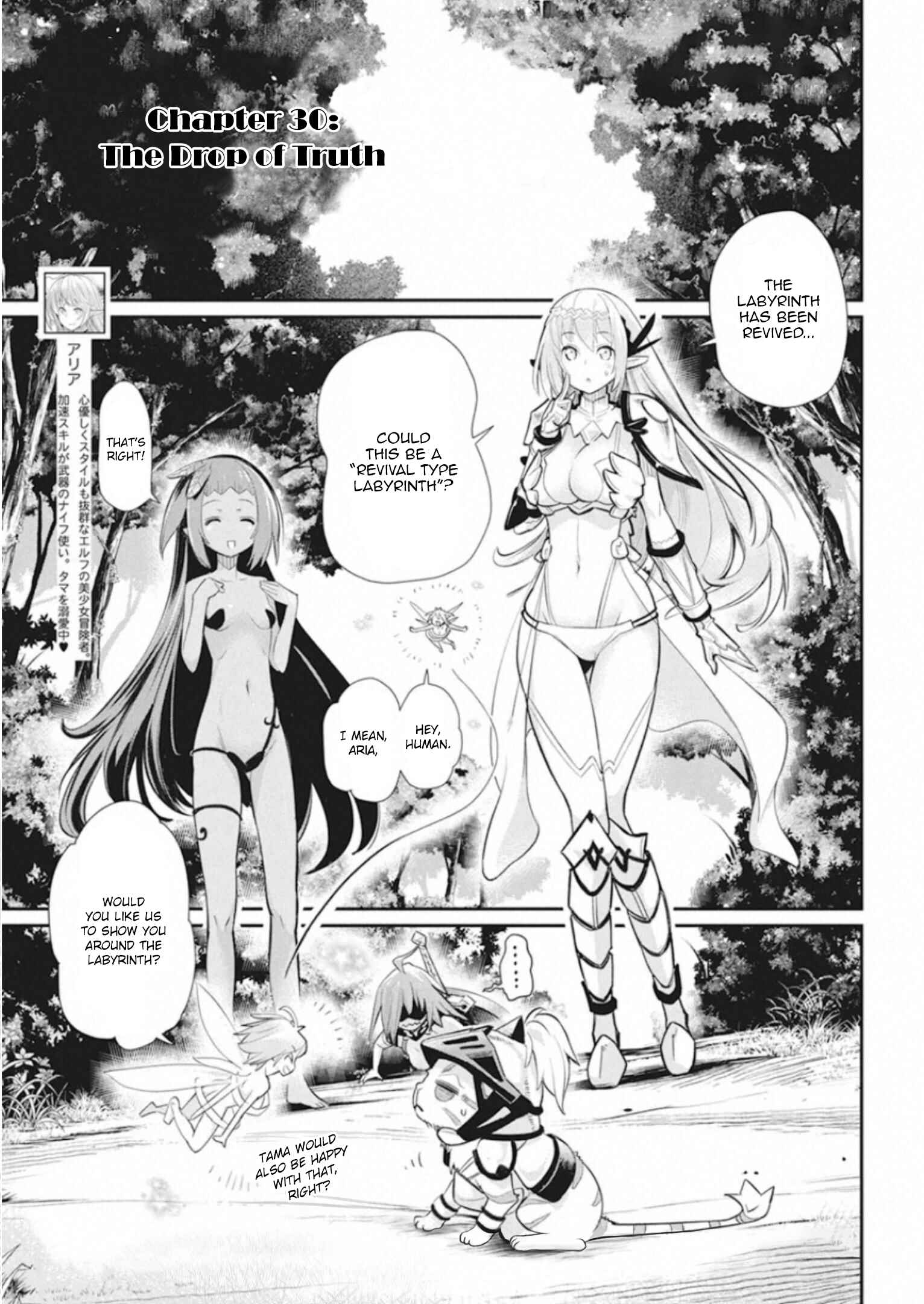 S-Rank Monster no "Behemoth" dakedo, Neko to Machigawarete Elf Musume no Pet to Shite Kurashitemasu Chapter 30 - Page 2