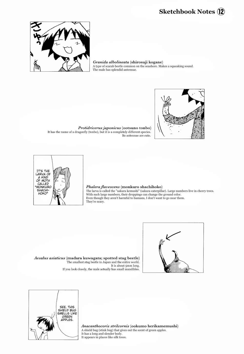Sketchbook Chapter 78 - Page 10