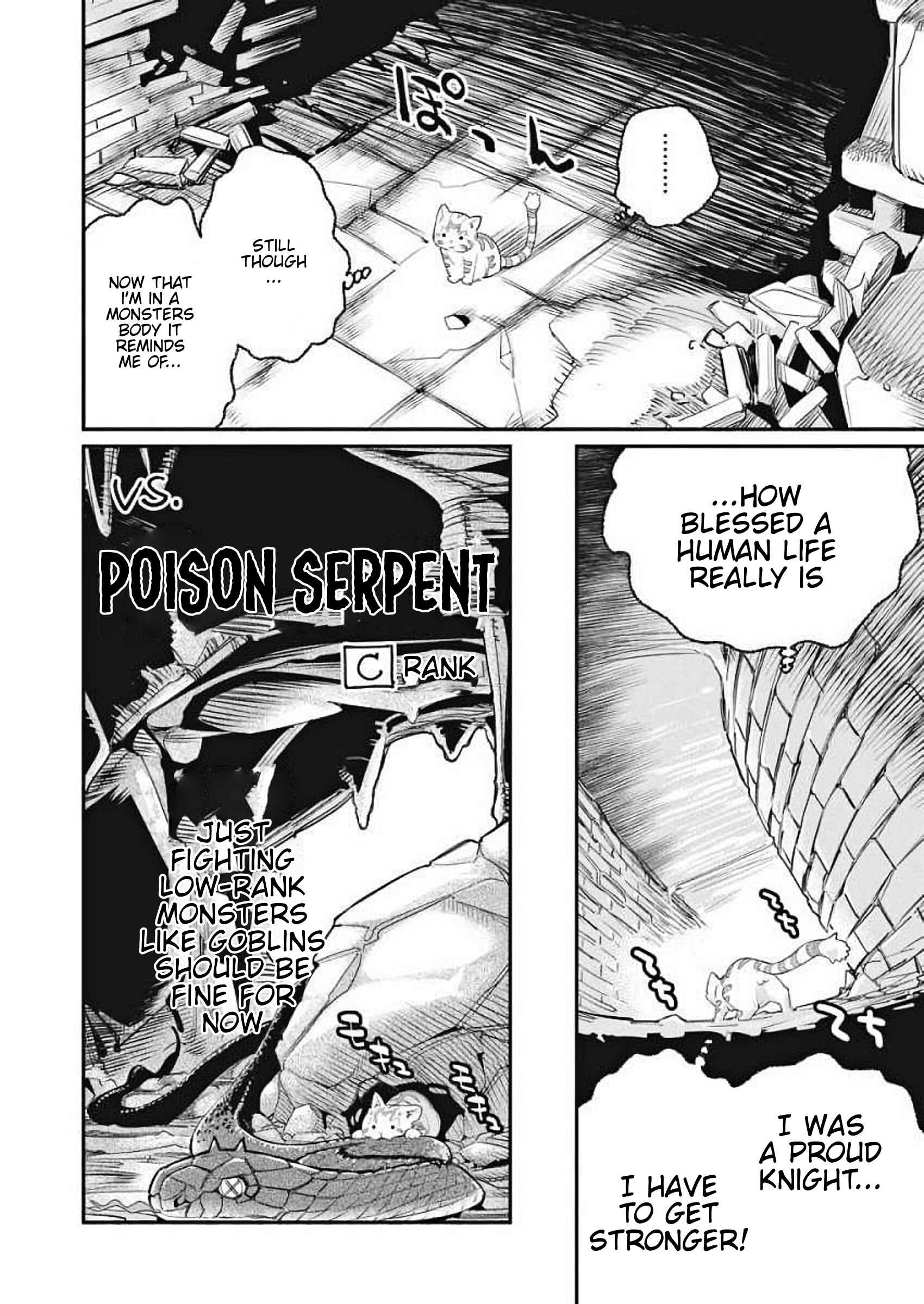 S-Rank Monster no "Behemoth" dakedo, Neko to Machigawarete Elf Musume no Pet to Shite Kurashitemasu Chapter 1 - Page 14