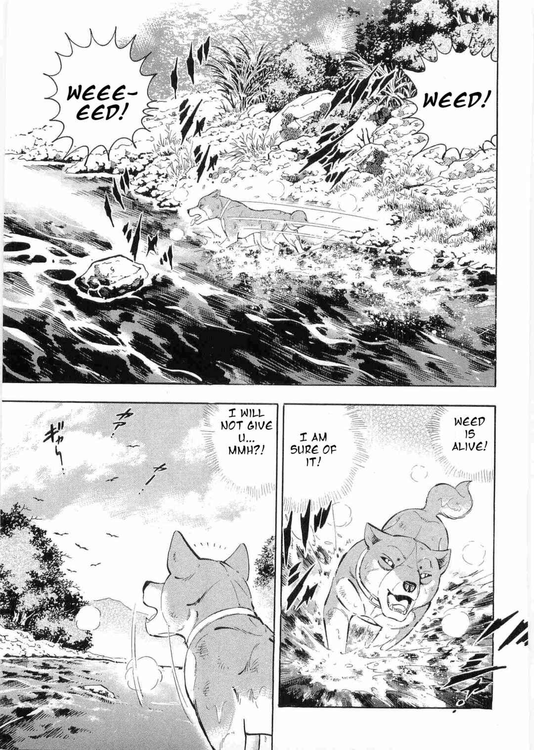 Ginga Densetsu Weed Chapter 494 - Page 5