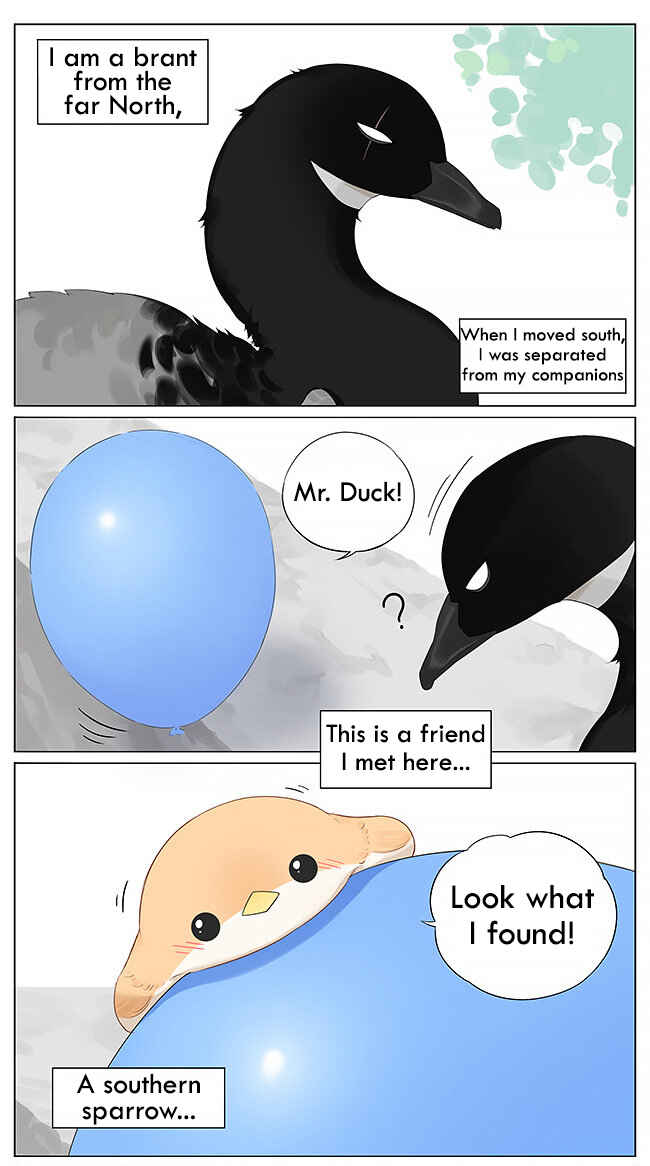 Southern Bird and Northern Bird Chapter 11 - Page 1