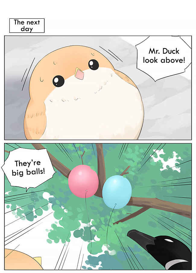 Southern Bird and Northern Bird Chapter 11 - Page 7