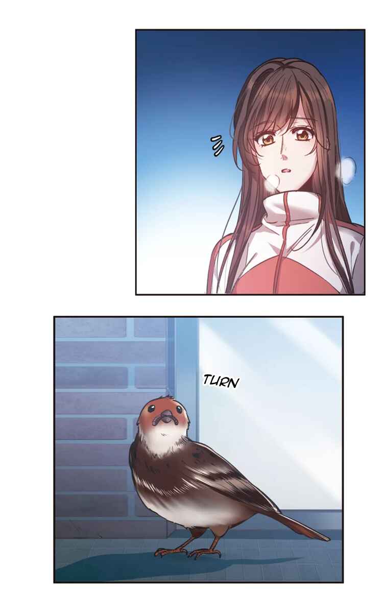 The brightest giant star in the world Chapter 15.2 - Page 12