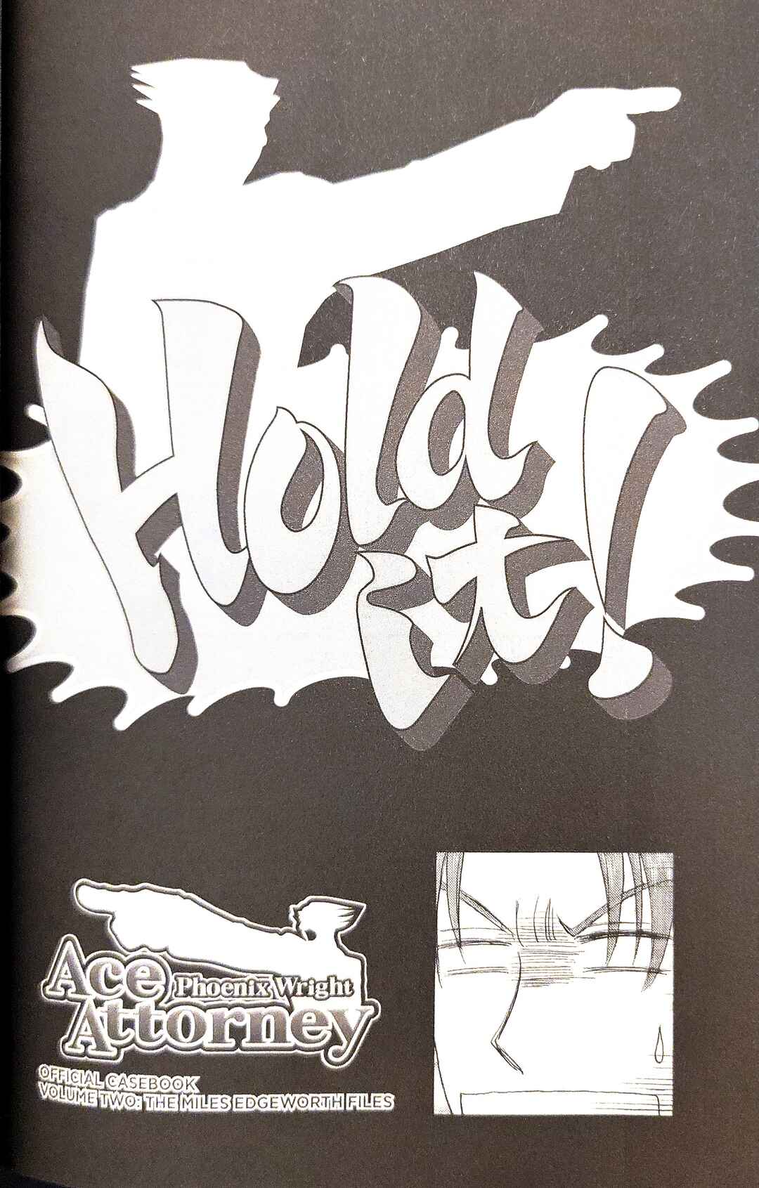 Gyakuten Saiban Official Anthology Comic: Naruhodou-hen Chapter 16.5 - Page 2