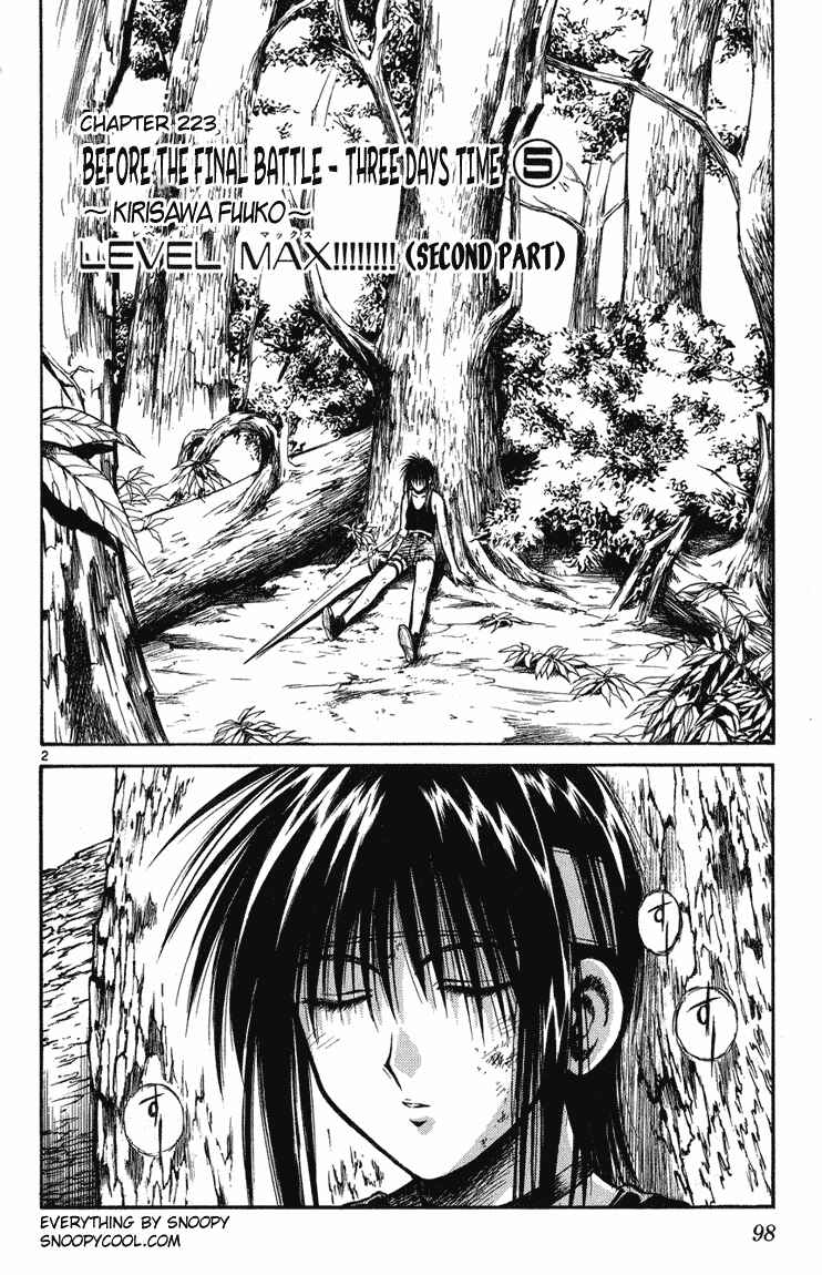 Flame of Recca Chapter 223 - Page 2